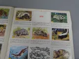 Stickerboek zoogdieren – foto 9 – kavel bij De Kringwinkel, Diest