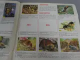 Stickerboek zoogdieren – foto 10 – kavel bij De Kringwinkel, Diest