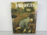 Kunstboek Bruegel: Het Volledig Oeuvre door Roger H. Marijnissen – foto 2 – kavel bij De Kringwinkel, Heverlee