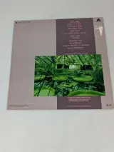 Simple Minds – Celebration – LP/Vinyl – foto 2 – kavel bij De Kringwinkel, Sint-Niklaas