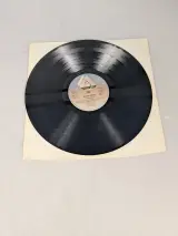 Simple Minds – Celebration – LP/Vinyl – foto 3 – kavel bij De Kringwinkel, Sint-Niklaas