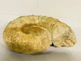 Verpakkingsmateriaal, partijhandel, computeronderdelen, natuurstenen en mineralen – veiling bij Onlineveilingmeester, Gramsbergen