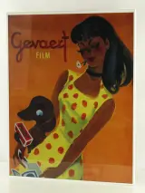 Gevaert Film reclameposter van vrouw met hond – foto 2 – kavel bij De Kringwinkel, Antwerpen