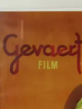 Gevaert Film reclameposter van vrouw met hond – foto 3 – kavel bij De Kringwinkel, Antwerpen