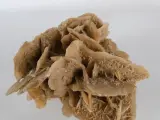 Collectie natuurlijke mineralen/fossielen | Woestijnroos, ammonietfossiel en agaatplak – foto 7 – kavel bij De Kringwinkel, Heverlee