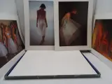 Fotografie portfolio Les Ombres de Lete van David Hamilton – foto 4 – kavel bij De Kringwinkel, Oostende