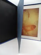 Fotografie portfolio Les Ombres de Lete van David Hamilton – foto 7 – kavel bij De Kringwinkel, Oostende