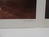 Fotografie portfolio Les Ombres de Lete van David Hamilton – foto 9 – kavel bij De Kringwinkel, Oostende
