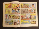 "Topprestaties van Eddy Merckx" stripverhaal (1973) – foto 6 – kavel bij De Kringwinkel, Leopoldsburg