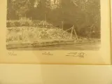 2 lithografieën van Guy Desarzens – foto 3 – kavel bij De Kringwinkel, Leopoldsburg