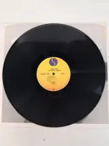 LP: Madonna – foto 4 – kavel bij De Kringwinkel, Waardamme
