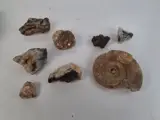 Stenen, mineralen en een fossiel – kavel bij De Kringwinkel, Waardamme