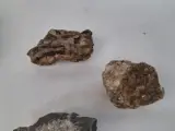 Stenen, mineralen en een fossiel – foto 2 – kavel bij De Kringwinkel, Waardamme