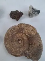 Stenen, mineralen en een fossiel – foto 4 – kavel bij De Kringwinkel, Waardamme