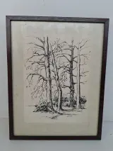 Sfeervolle Ingelijste Inkttekening: "Bomen in het Landschap" – Handgesigneerd door Ghislain – kavel bij De Kringwinkel, Waardamme