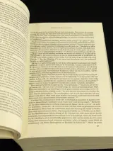 Jheronimus Boch - tussen volksleven en stadscultuur – foto 5 – kavel bij De Kringwinkel, Antwerpen