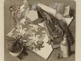 M.C. Escher reproductie prints Reptielen/Drie werelden – foto 4 – kavel bij De Kringwinkel, Antwerpen