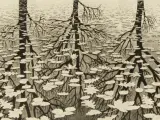 M.C. Escher reproductie prints Reptielen/Drie werelden – foto 9 – kavel bij De Kringwinkel, Antwerpen