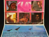 Pink Floyd/Led Zeppelin lp's – foto 9 – kavel bij De Kringwinkel, Antwerpen