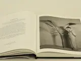 Flora Photographica Bloemen in de fotografie van 1835 tot Heden – Wiliam Erwing SDU uitgeverij koninginnengracht/uitgeverij Focus 's-Gravenhage/ Ams… – foto 5 – kavel bij De Kringw