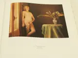 Flora Photographica Bloemen in de fotografie van 1835 tot Heden – Wiliam Erwing SDU uitgeverij koninginnengracht/uitgeverij Focus 's-Gravenhage/ Ams… – foto 8 – kavel bij De Kringw