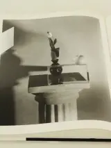 Flora Photographica Bloemen in de fotografie van 1835 tot Heden – Wiliam Erwing SDU uitgeverij koninginnengracht/uitgeverij Focus 's-Gravenhage/ Ams… – foto 9 – kavel bij De Kringw