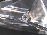 Set Swarovski kristallen dieren en decoraties – foto 5 – kavel bij De Kringwinkel, Heverlee