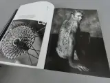 Fotoboek The Sydney Dream met zwart-wit en kleurenfoto's – foto 7 – kavel bij De Kringwinkel, Diest