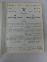 Vintage dierenplaatjesalbum Demaret 3e volume – foto 4 – kavel bij De Kringwinkel, Diest