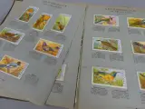 Vintage dierenplaatjesalbum Demaret 3e volume – foto 6 – kavel bij De Kringwinkel, Diest