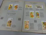Vintage dierenplaatjesalbum Demaret 3e volume – foto 8 – kavel bij De Kringwinkel, Diest