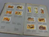Vintage dierenplaatjesalbum Demaret 3e volume – foto 9 – kavel bij De Kringwinkel, Diest