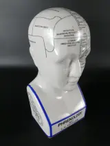 Keramisch hoofd Phrenologie model L.N. Fowler – kavel bij De Kringwinkel, Heverlee