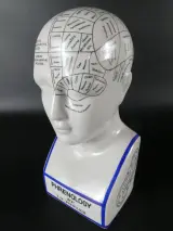Keramisch hoofd Phrenologie model L.N. Fowler – foto 2 – kavel bij De Kringwinkel, Heverlee