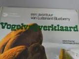 Strip vogelvrijverklaard – foto 2 – kavel bij De Kringwinkel, Diest
