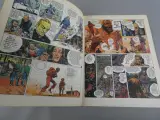 Strip vogelvrijverklaard – foto 7 – kavel bij De Kringwinkel, Diest