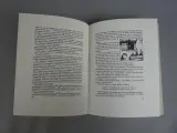 Pallieter - Felix Timmermans - 1975 – foto 6 – kavel bij De Kringwinkel, Diest