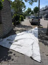 Kielboot, Kielzugvögel, incl. HEKU 900 boottrailer – foto 10 – kavel bij Onlineveilingmeester, Heerenveen
