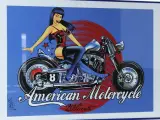 David Vicente “American motorcycle” pin-up poster (gesigneerd) – foto 3 – kavel bij De Kringwinkel, Antwerpen