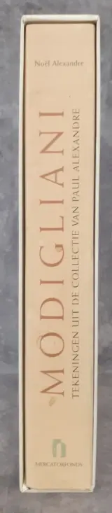 Boek: Modigliani - Tekeningen uit de collectie van Paul Alexandre – foto 2 – kavel bij De Kringwinkel, Gent