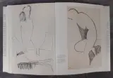 Boek: Modigliani - Tekeningen uit de collectie van Paul Alexandre – foto 7 – kavel bij De Kringwinkel, Gent