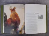 Boek: Vlaamse Schilders en de dageraad van Hollands Gouden Eeuwen – foto 4 – kavel bij De Kringwinkel, Gent