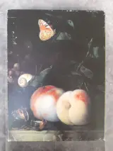 Boek: Vlaamse Schilders en de dageraad van Hollands Gouden Eeuwen – foto 8 – kavel bij De Kringwinkel, Gent