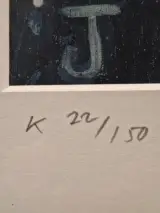 Christian Straetling - Originele kleurengrafiek "Flight" door Oost - gelimiteerde oplage (22/150) – foto 10 – kavel bij De Kringwinkel, Gent