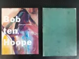 Boek: Duo van Bob Ten Hoope kunstboeken – kavel bij De Kringwinkel, Gent