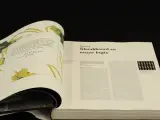 Jugendstil Gabriele Fahr Becker-Könemann – foto 2 – kavel bij De Kringwinkel, Antwerpen