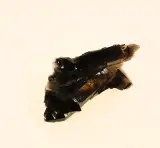 Verzameling mineralen en kristallen met drie presentatiedozen en rookkwarts – foto 6 – kavel bij De Kringwinkel, Turnhout