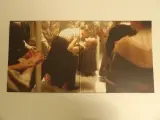 "Back to Titanic" (Luxe vinyl-uitgave) – foto 4 – kavel bij De Kringwinkel, Leopoldsburg