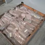 Partij vloeistoffen filterelementen – foto 5 – kavel bij Domeinen Roerende Zaken, Groningen