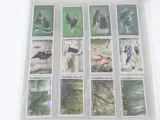 Filatelistische Collectie: Luxe Jaarboeken, FDC's & Klassiek België – foto 27 – kavel bij De Kringwinkel, Heverlee